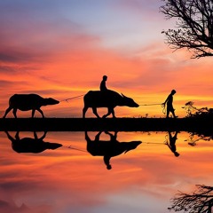 THÁI BÌNH MỒ HÔI RƠI V2 | DJ PRODUCER LỘC PER