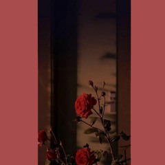 Canh Hong Phai (lofi version)