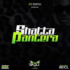 DJ DAYLI - SHATTA PANTERA