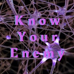 Know Your Enemy