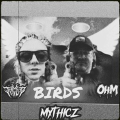OHM X FRYED - BIRDS (free as fuck)