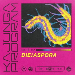 Kajunga Program SE.5 EP.7 - DIE/ASPORA