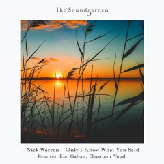 Nick Warren - Big Down