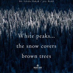 haiku #455: White peaks… / the snow covers / brown trees