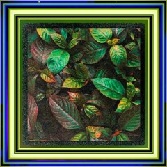 WM🍐#1168🍋🥝🍏🥒🌱🌿 ☘️ 🍋‍🟩🫑🫛🥦🍃