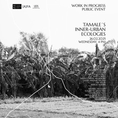 Old Airfield - On atmospheres and soundography of the underlight