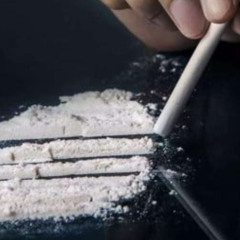 Toxic Brixx - Weißes Puda