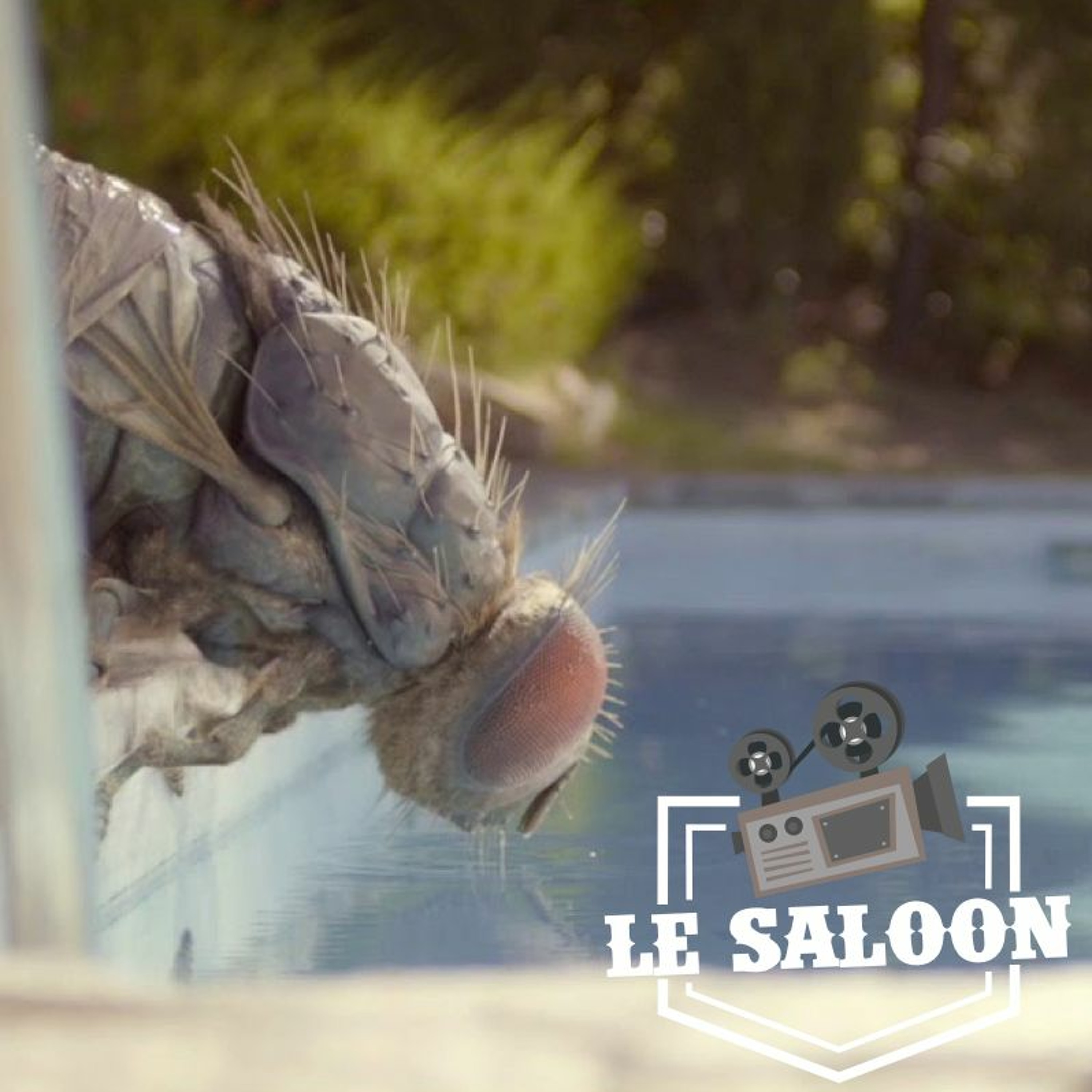 Le Saloon
