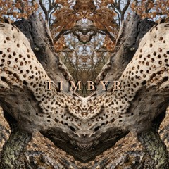 TIMBYR