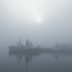 In the mist(primitive)