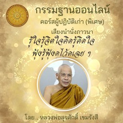 รู้ใจรู้จิตใจคิดรู้คิดใจฟุ้งรู้ฟุ้งดูไว้ดูเฉยๆ 048