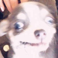 Take A Look Around COVER VERSION