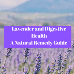 Lavender and Digestive Health: A Natural Remedy Guide