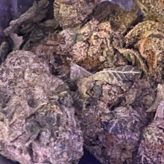 SMOKE SO MUCH(Prod.T2T)