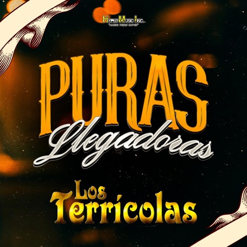 Stream Te Juro Que Te Amo by Los Terricolas Listen online for free on