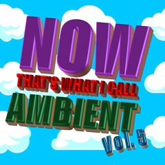 NOW THAT'S WHAT I CALL AMBIENT - VOL. 5