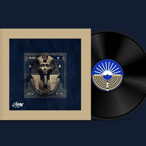 Secret ID X Get Your Shit (HELLER Edit)