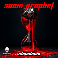 Sonic Prophet - Slowdown (Preview)