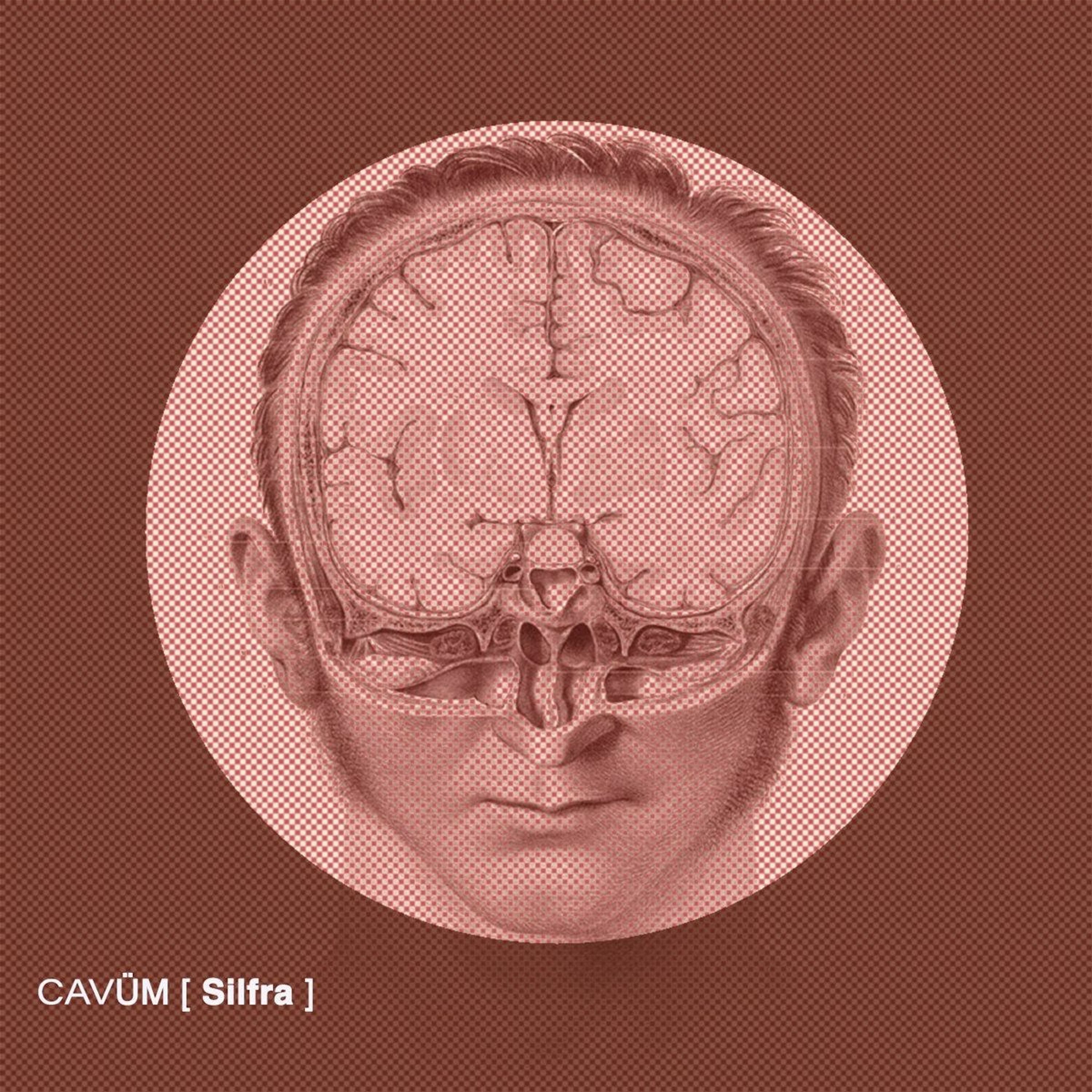 Out Now: Cavüm — Involvment [Rhod Records] episode artwork