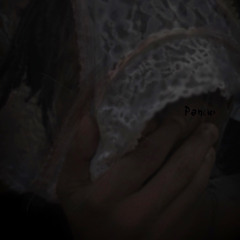 panties