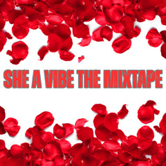 SHE A VIBE THE MIXTAPE