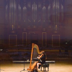 Anibal Vidal - A Binary Sunset for solo harp