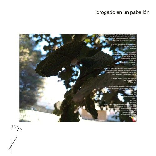 drogado en un pabellón