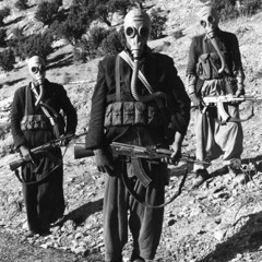 Unreleased 12: 'Carter is a snitch'