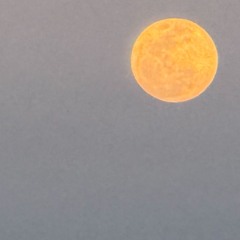 Would you stop to see the sound? (a hard Amen)