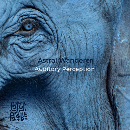 PREMIERE: Astral Wanderer - Tonal Structures [Lotus Parable]
