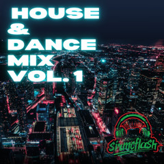 House & Dance Mix Vol. 1