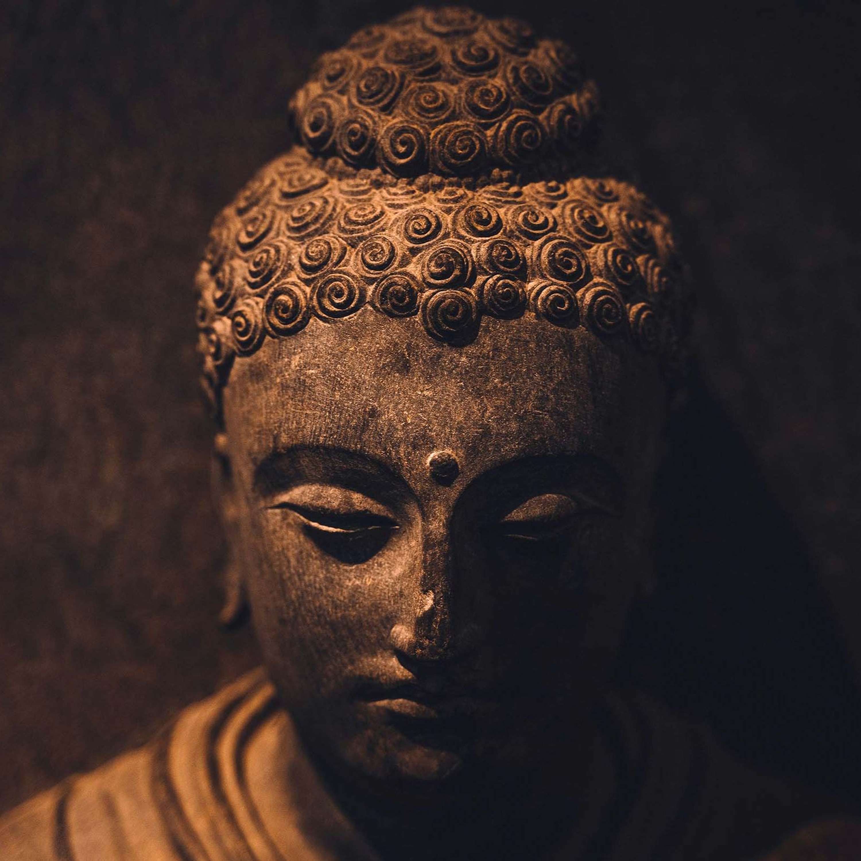 Associazione Kalyanamitta: Meditazione, Mindfulness, Buddhismo