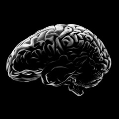 Sensation Of The Mind