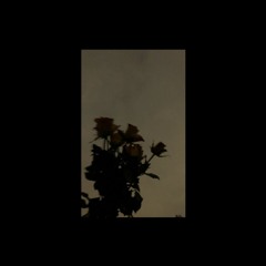 Jvnek - Nikt Nie Słucha