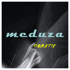 Meduza (CHROME Contest)