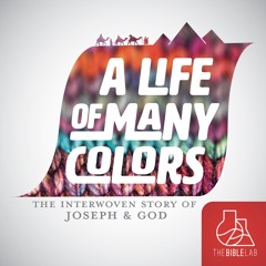 87 Leaving the Known, Walking Into the Unknown - #7 A LIFE OF MANY COLORS