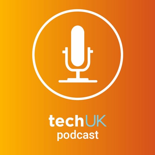 The techUK Podcast Episode 23 - Brexit, what do I do? And what comes next?