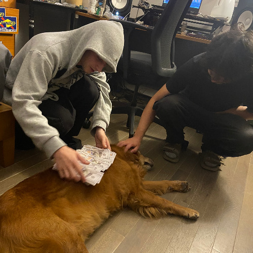 @bonxpf - icicle (db808) [meeko.com exclusive 🎾]