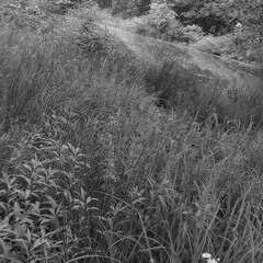 Resolve is not my strongsuit