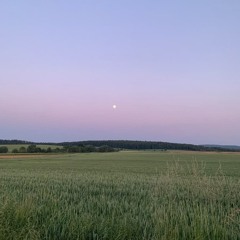 hqhuy - trân trọng