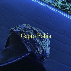 Gapto Fobia - 4Flowers
