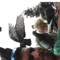 חן לוי תישאר