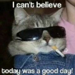 a cover of live: nature and you <3# by mossgarden