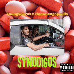 Young N3kras X Flamengopoulis - Synodigos