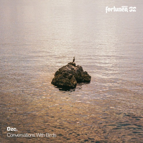 'Conversations with Birds' EP