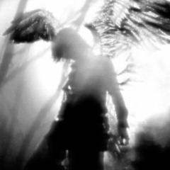 shadows