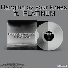 Hanging By Your Knees ft. PLATINUM