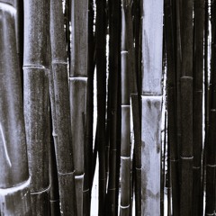 Nobody to Hear It [version 1]