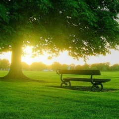 بالله ألا تستحق! 🤍 | سلمى خلاف