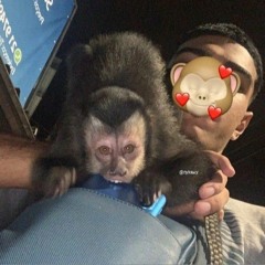 ORUAM - A MADRUGADA É SOLIDÃO SEM VOCÊ DO MEU LADO - "LIBERAR MEUS MONSTROS" (áudio oficial)